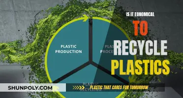 The Economics of Plastic Recycling: Is It Worthwhile?
