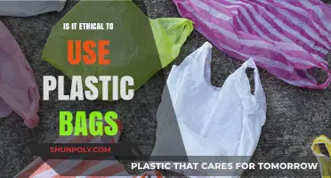 Plastic Bag Dilemma: Balancing Convenience with Environmental Ethics