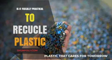 Recycling Plastic: Is It Worth the Cost?