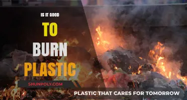 Burning Plastic: What's the Harm?