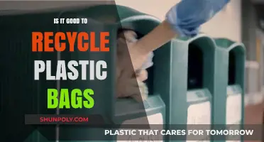 Recycling Plastic Bags: Eco-Friendly Solution or Environmental Dilemma?