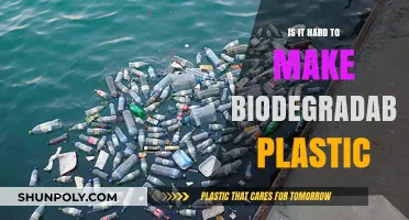 Challenges in Creating Eco-Friendly Biodegradable Plastics: A Comprehensive Analysis