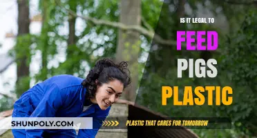 The Dark Truth: Feeding Pigs Plastic is Illegal