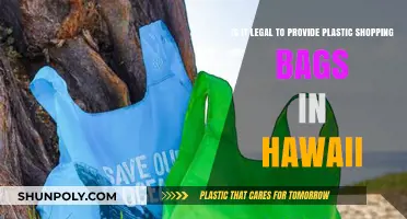 Are Plastic Shopping Bags Legal in Hawaii? Current Laws Explained