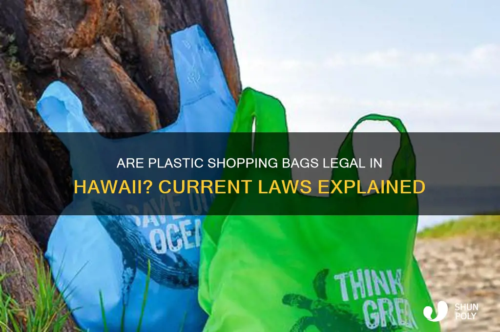 is it legal to provide plastic shopping bags in hawaii