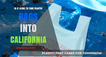 California's Plastic Bag Ban: Legal Implications for Visitors and Residents