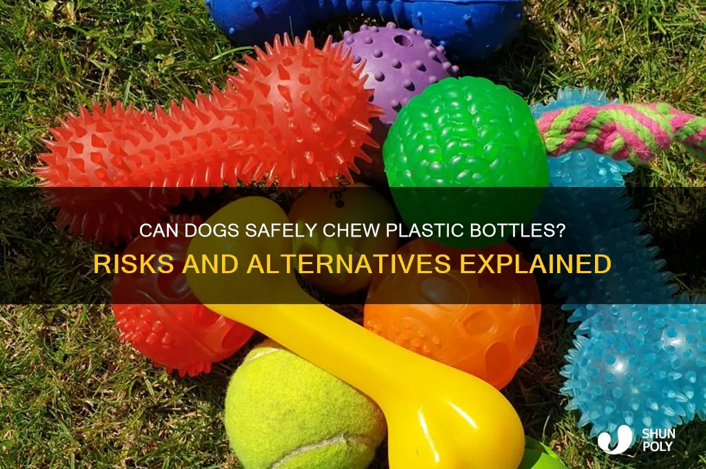 is it ok for dogs to chew on plastic bottles