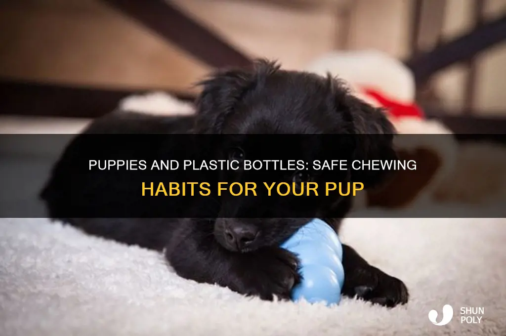 is it ok for puppies to chew on plastic bottles
