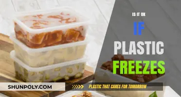 Freezing Plastics: Harmful or Harmless?