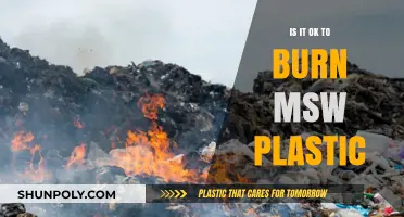 Burning MSW Plastics: Is It Ever Okay?