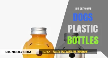 Can Dogs Safely Play with Plastic Bottles? Risks and Alternatives