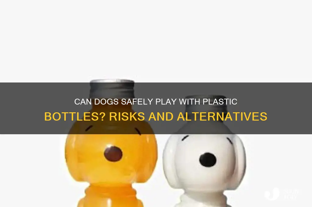 is it ok to give dogs plastic bottles