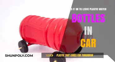 Leaving Plastic Water Bottles in Your Car: Safe or Risky?