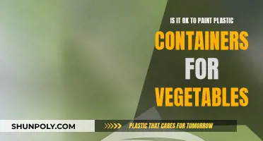 Plastic Containers for Vegetables: Paint or Not to Paint?