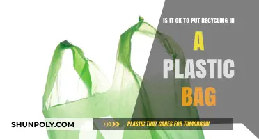 Recycling in Plastic Bags: Eco-Friendly or Environmental Mistake?