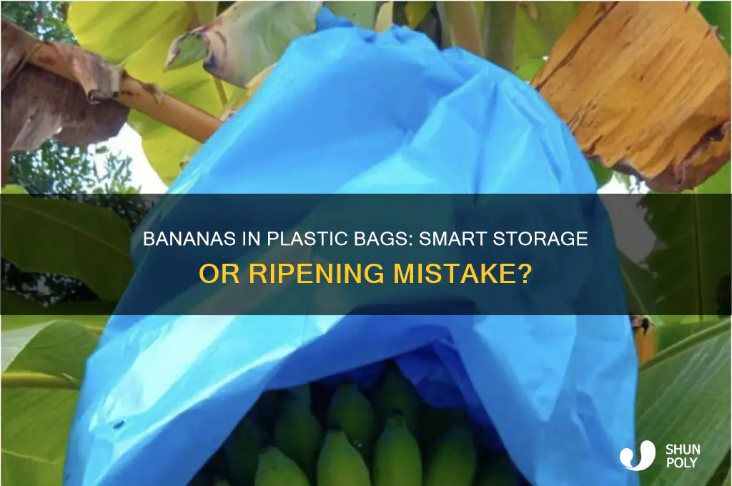 is it ok to store bananas in a plastic bag