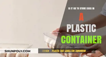 Storing Eggs: Plastic Containers, Safe or Not?