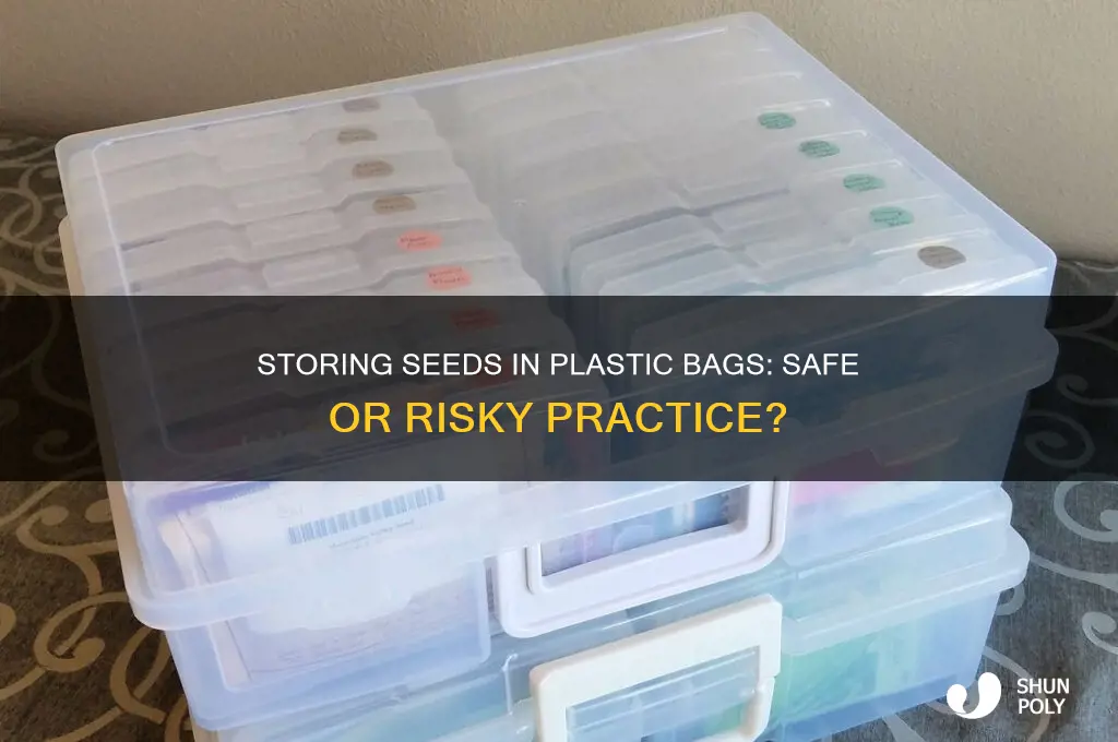 is it ok to store seeds in plastic bags