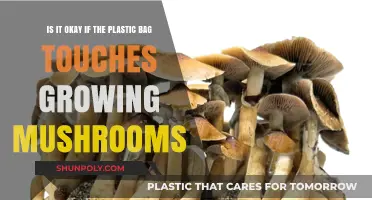 Plastic Bags and Mushrooms: Safe Contact or Risky Practice?
