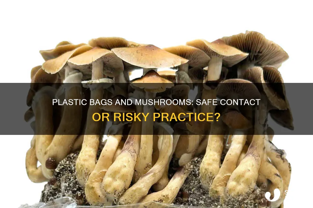 is it okay if the plastic bag touches growing mushrooms