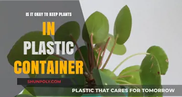 Plastic Containers: Safe for Plants?