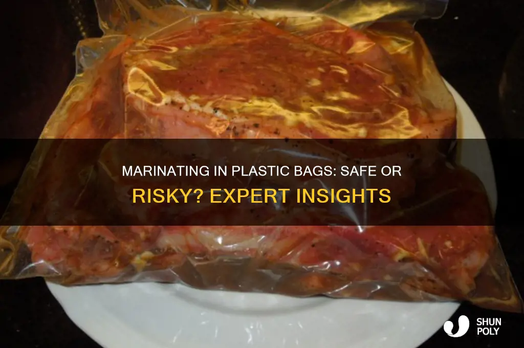 is it okay to marinate in plastic bags