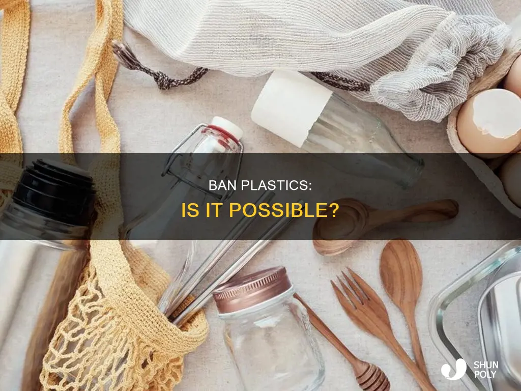 is it possible to ban all plastics