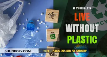 Living Plastic-Free: Is It Possible?