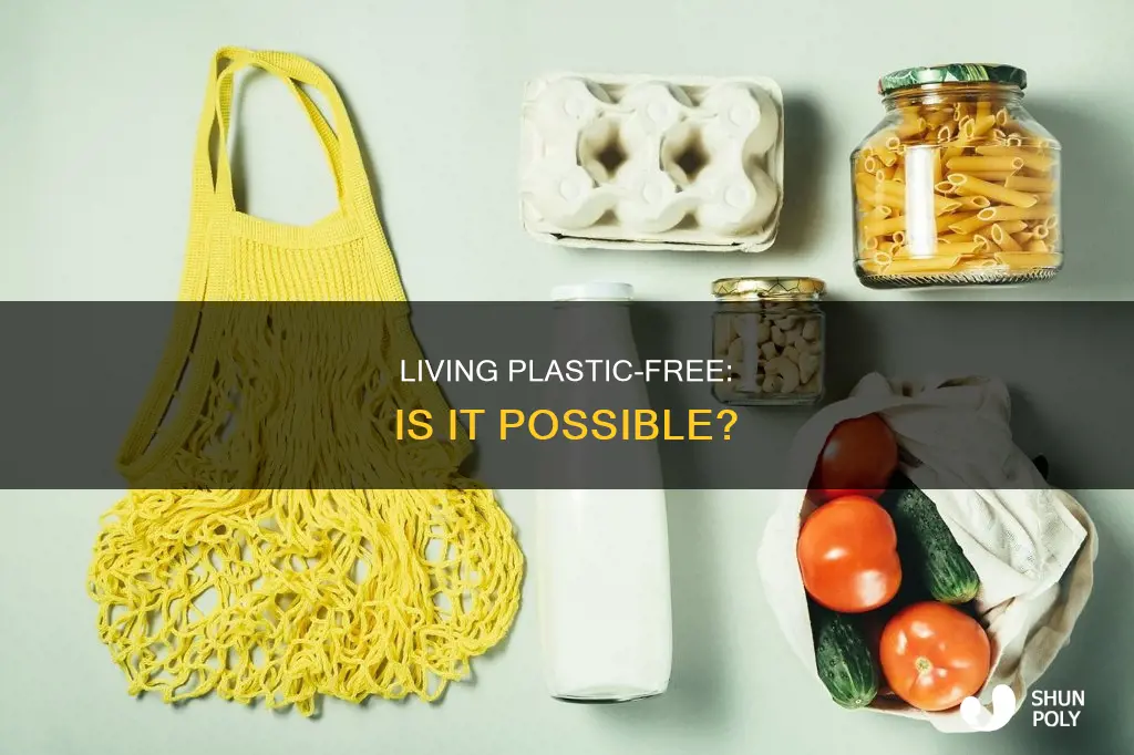 is it possible to live without plastic