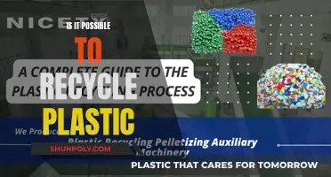 Exploring Plastic's Recycling Potential: Possibilities and Challenges