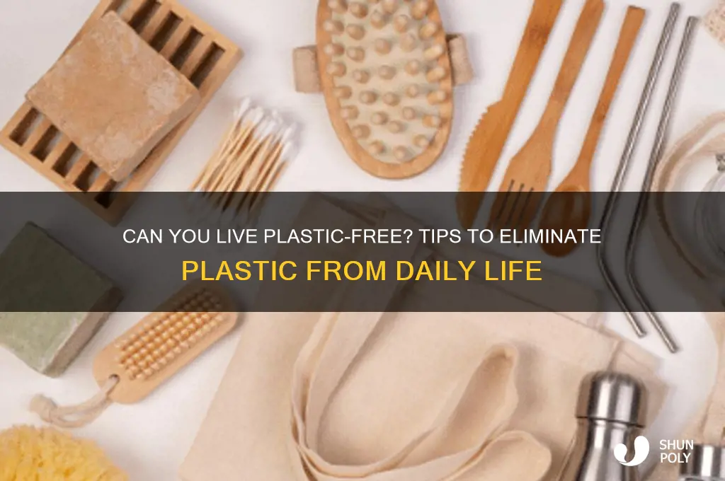 is it possible to remove plastic from your life