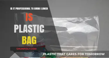 Is Packing Lunch in a Plastic Bag Workplace-Appropriate?