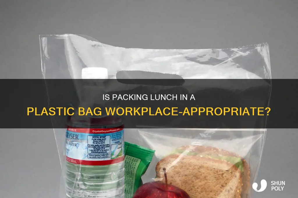 is it professional to bring lunch is plastic bag