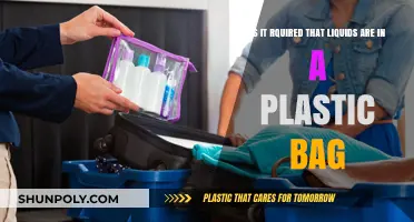 Are Plastic Bags Mandatory for Liquids in Carry-On Luggage?