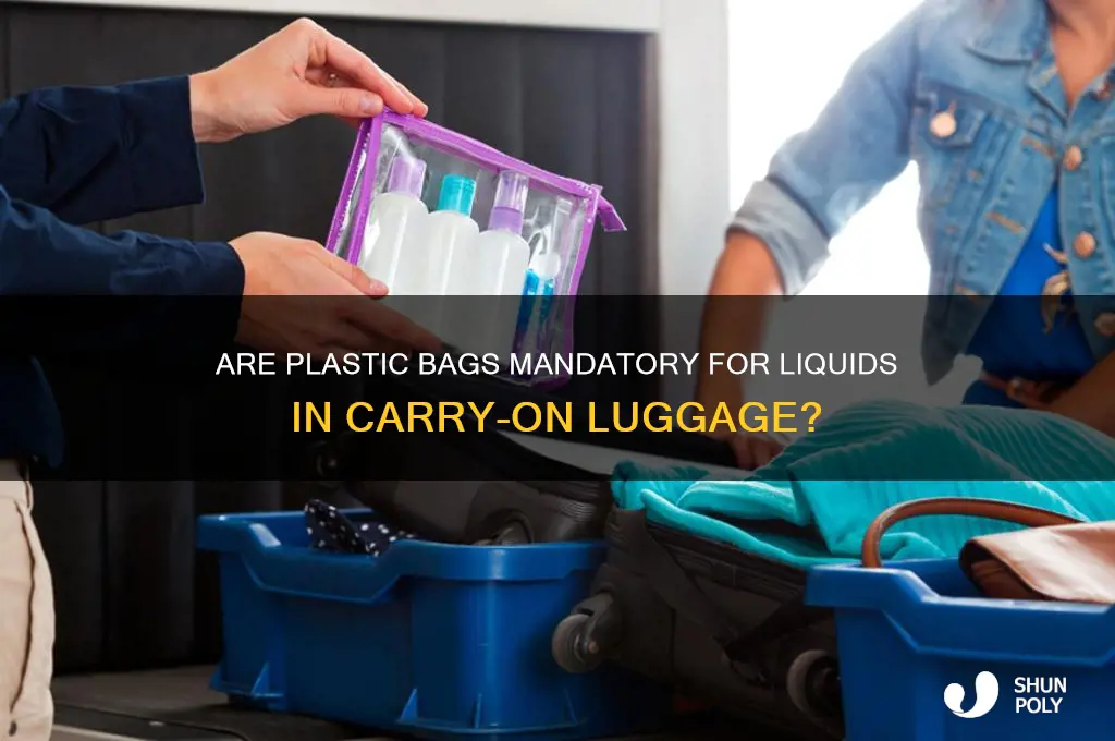 is it rquired that liquids are in a plastic bag