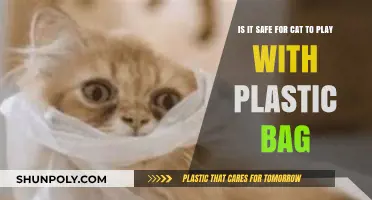 Plastic Bag Playtime: Safe or Risky for Your Curious Cat?