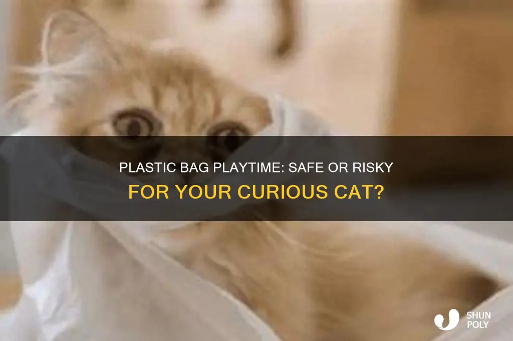 is it safe for cat to play with plastic bag