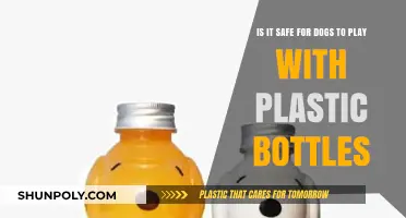 Are Plastic Bottles Safe for Dogs to Play With?