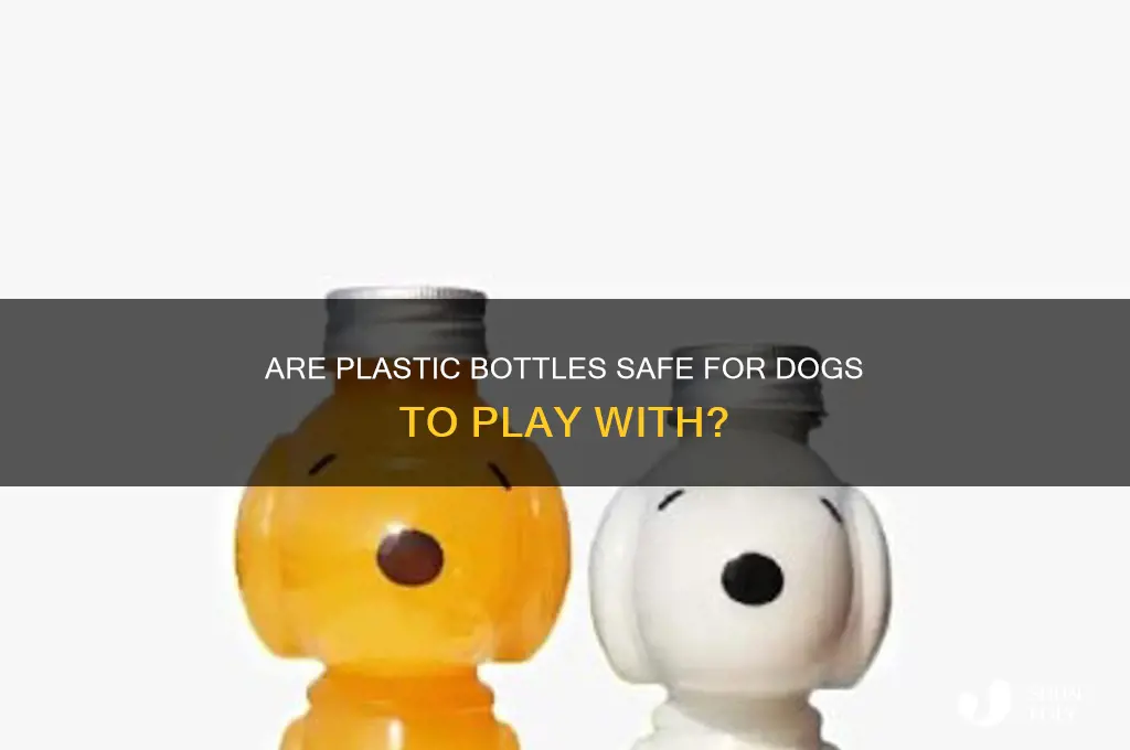 is it safe for dogs to play with plastic bottles