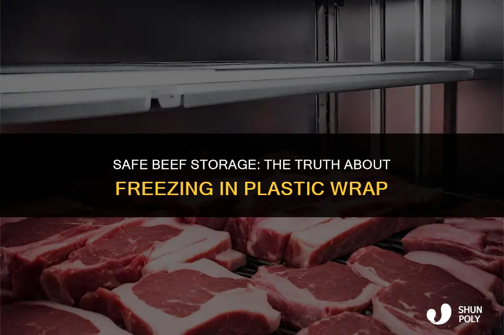 is it safe to freeze beef in plastic wrap