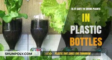 Growing Plants in Plastic Bottles: Safe or Harmful Practice?