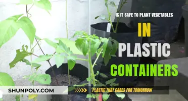 Plastic Containers for Gardening: Safe or Not?
