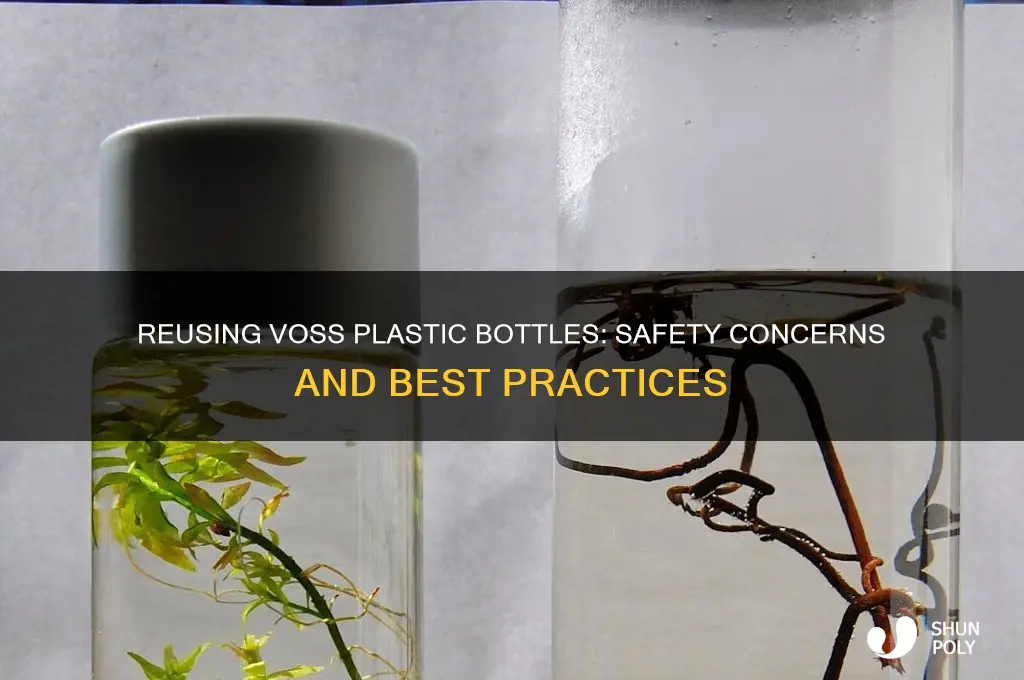 is it safe to reuse voss plastic bottle