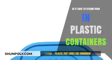 Steaming Food: Are Plastic Containers Safe?