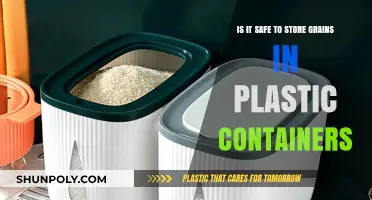 Storing Grains: Plastic Containers, Safe or Not?