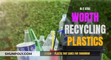 The Green Question: Is Plastic Recycling Still Worthwhile?