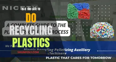 Recycling Plastics: Is There Still Time to Save Our Planet?