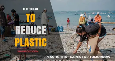 Reducing Plastic: Is There Still Time to Save Our Planet?