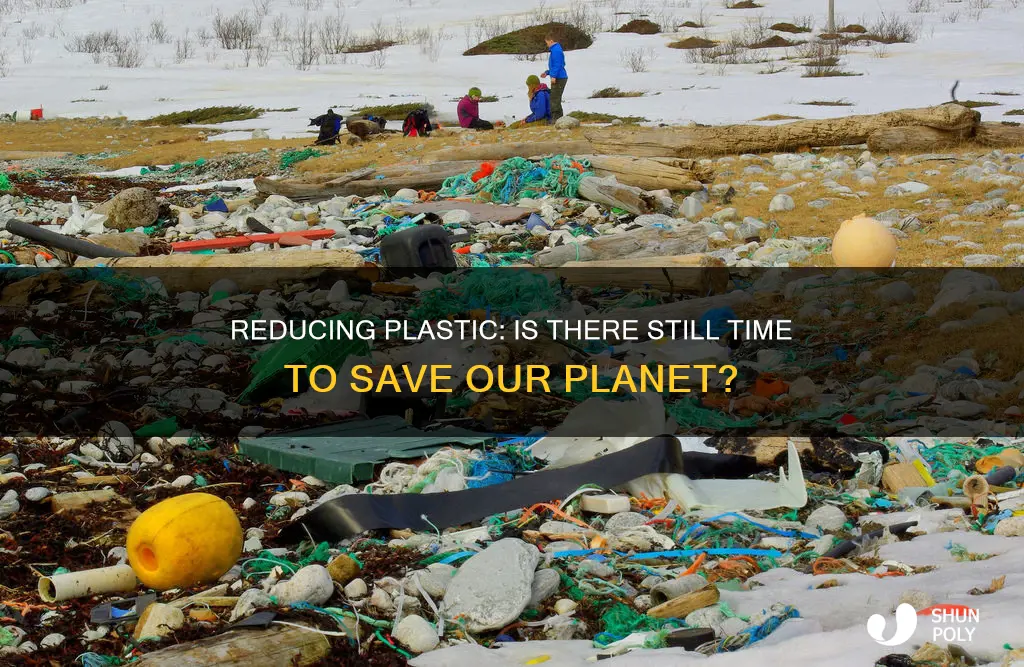 is it too late to reduce plastic