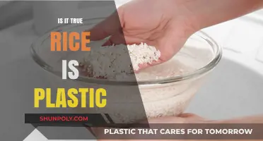 Rice and Plastic: The Truth About This Grain